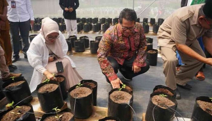 BI Gandeng Tiga Ponpes di NTB untuk Pilot Program Pertanian Pintar