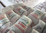 Jatah Pupuk Subsidi untuk Sumedang Tahun ini 24,8 Ribu Ton