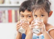 Pemkab Sumedang Canangkan Gerakan Revolusi Putih, Anak-Anak Akan Konsumsi Susu Gratis