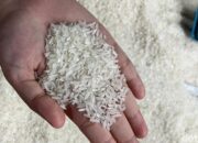 Pemerintah Naikkan Harga Eceran Tertinggi Beras