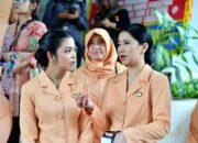 Ida Rahmawati Budi Gunadi Sadikin Dikukuhkan Sebagai Ketua Umum DWP 2024-2029