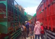 Minim Armada & Fasilitas, Pengiriman 16 Ribu Sapi Bima Terancam Gagal