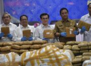 Kemenpora Dukung BNN Cegah Penyalahgunaan Narkoba di Kalangan Pemuda