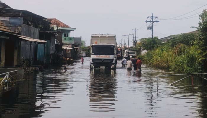 Dari Gray Infrastructure ke NbS: Transformasi Desain Kota Pesisir yang Lebih Adaptif